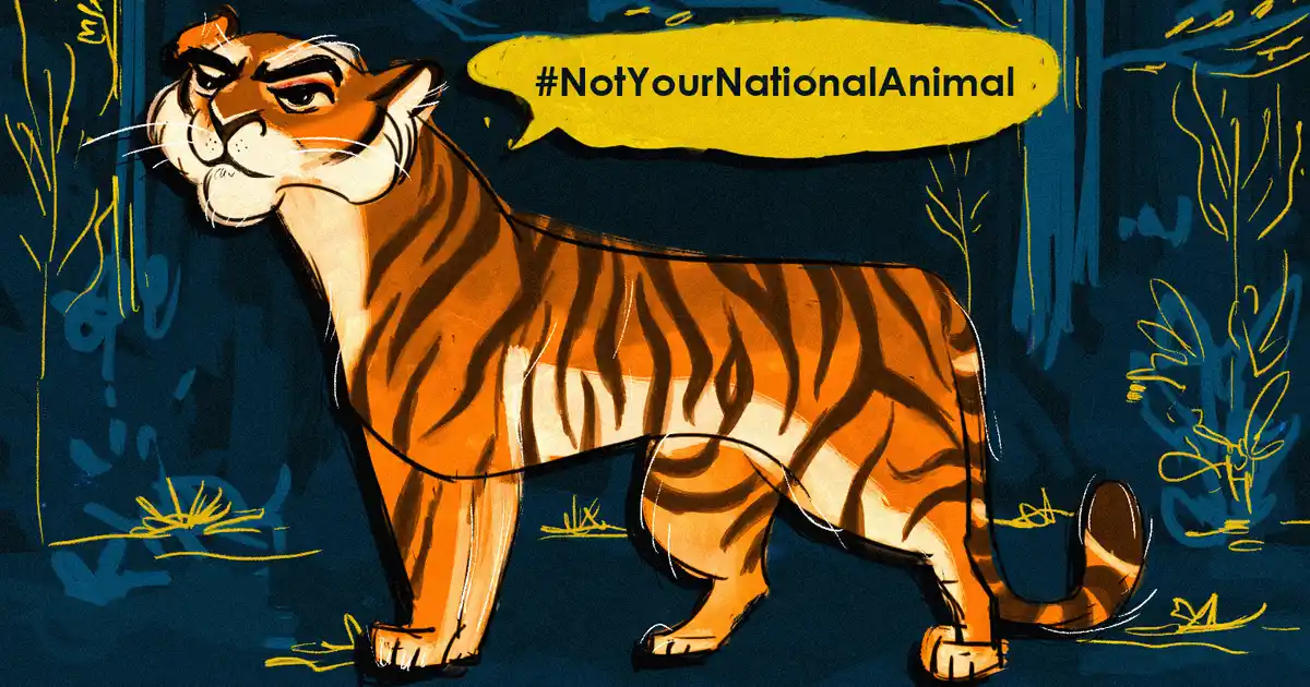 Indians Are Nothing Like The Tiger So Why is It Our National Animal?