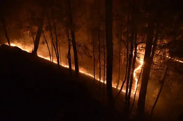 Uttarakhand Forest Fires