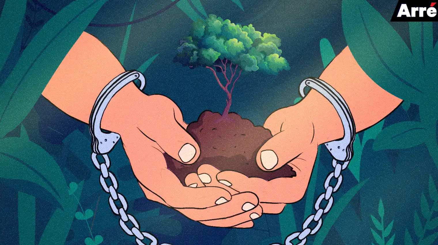 Aarey Campaign: What Social Media Debates Get Wrong About it