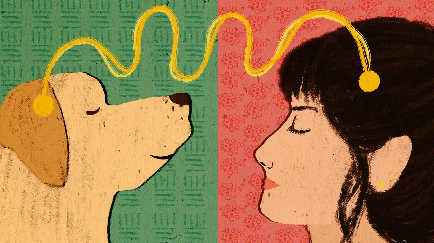 The Dog Whisperer - Arré